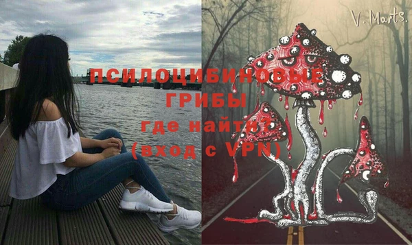 стафф Богородицк